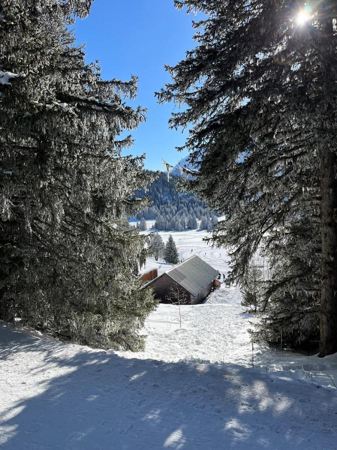 Chamrousse Appart 8 Personnes Au Pied Des Pistes Dış mekan fotoğraf