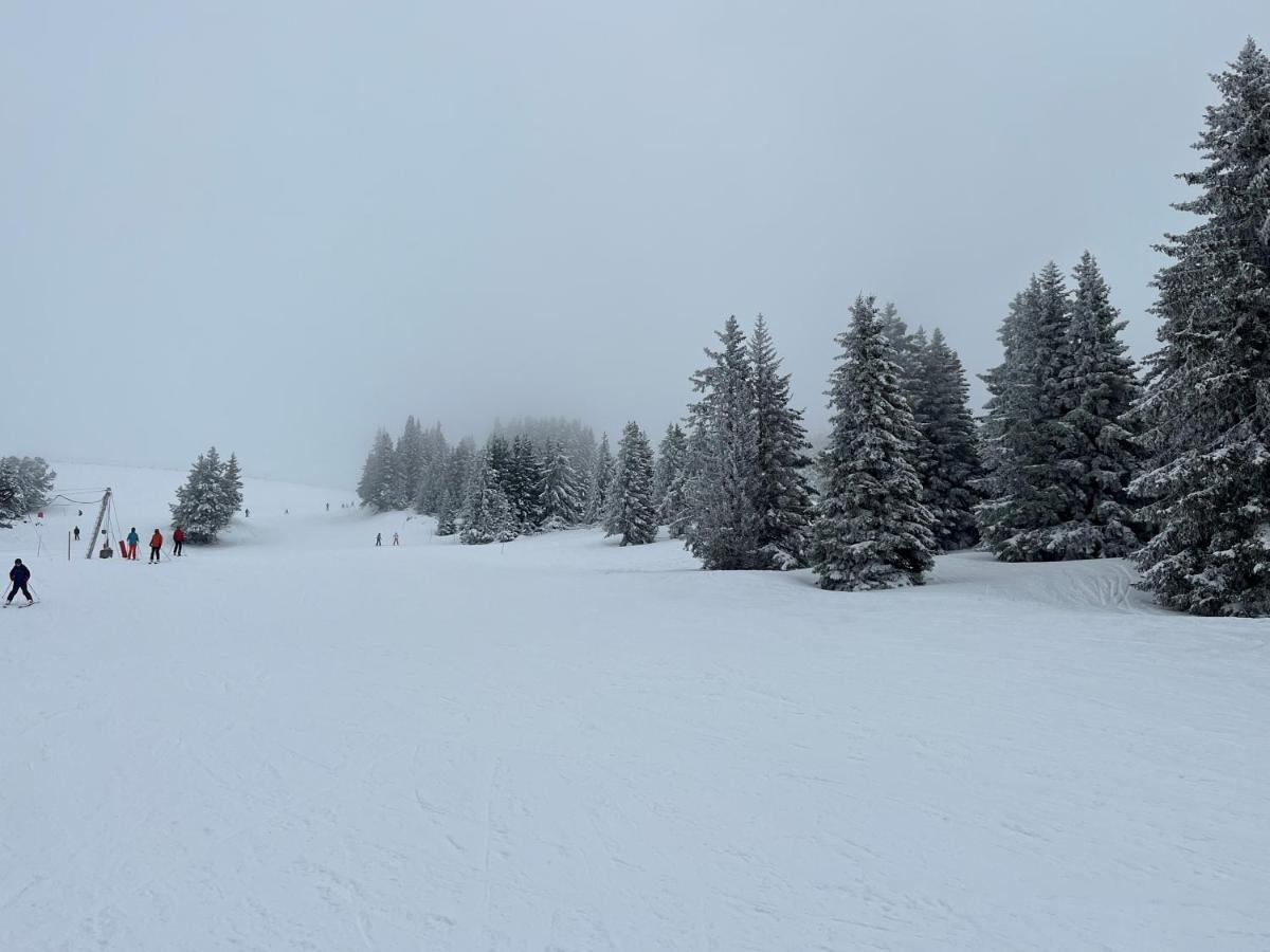 Chamrousse Appart 8 Personnes Au Pied Des Pistes Dış mekan fotoğraf